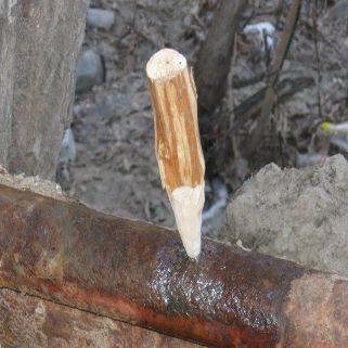 Деревянный чопик для срочной остановки протечки в трубе